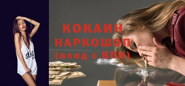 прущие грибы Беломорск